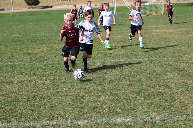 不仅已成为 不仅已成为