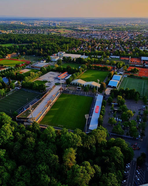 入困境的马 入困境的马