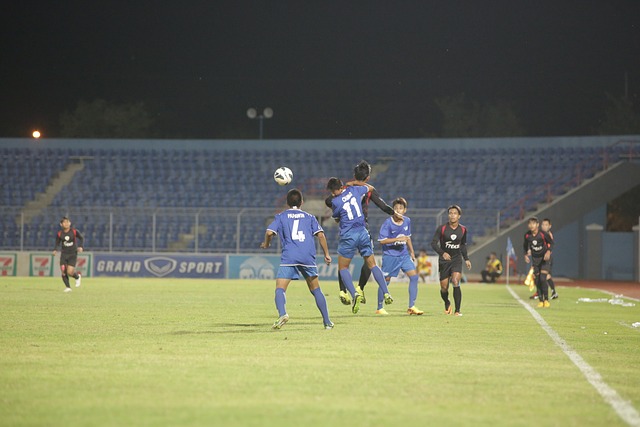 获得无数荣 获得无数荣