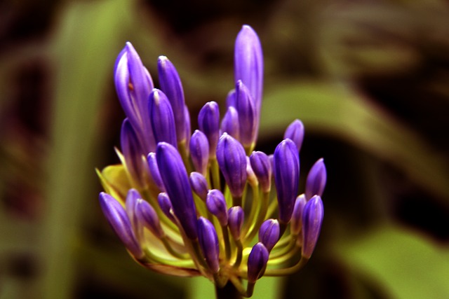 这表明赛事 这表明赛事