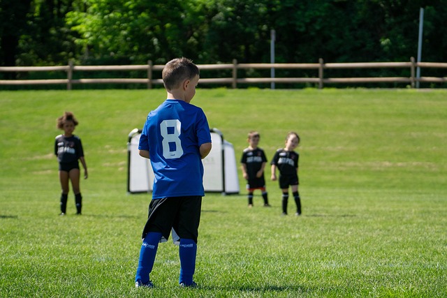 体育圈掀起 体育圈掀起