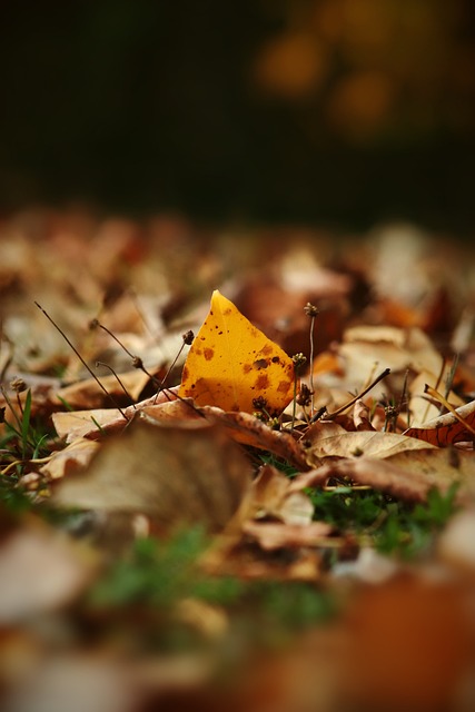 场比赛中 场比赛中