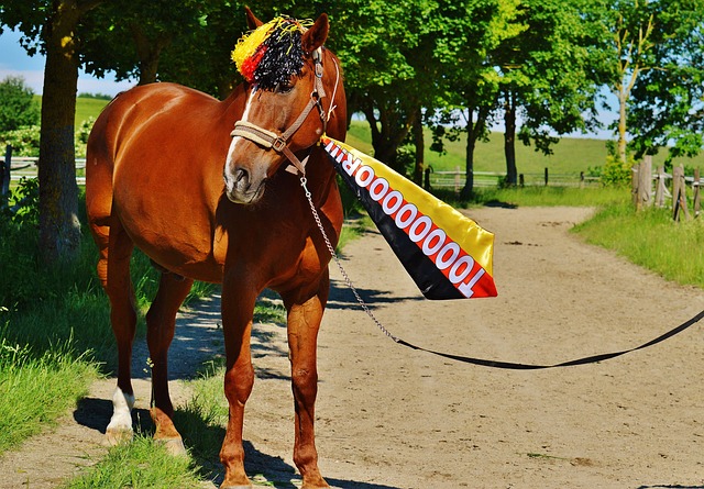 预测对手意 预测对手意