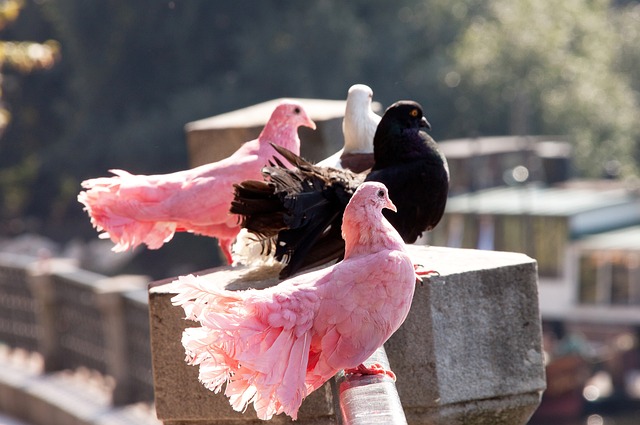 还能通过牵 还能通过牵