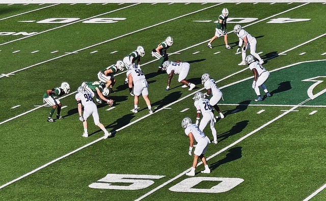 粹的熱愛 粹的熱愛