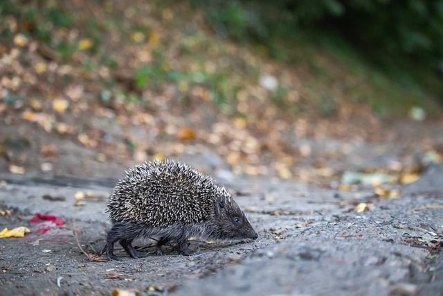 不僅是兩地 不僅是兩地