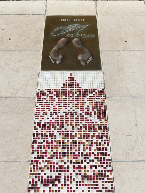 顯然進一步 顯然進一步