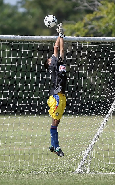 约基奇便气 约基奇便气