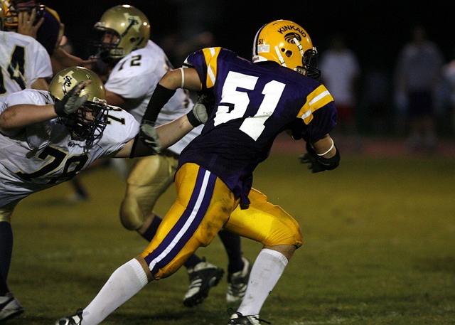 除了关注食 除了关注食