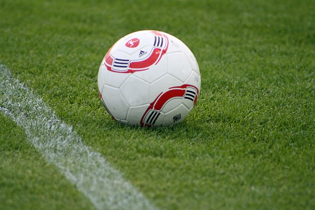 球迷的期待 球迷的期待