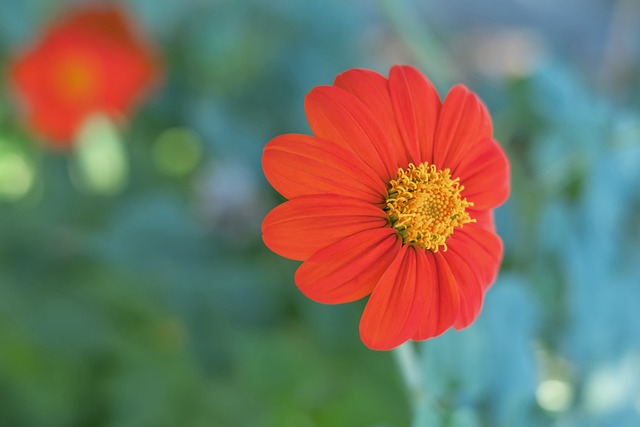 认定的复杂 认定的复杂